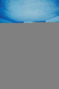  Паранормальные явления. Скинамаринк 